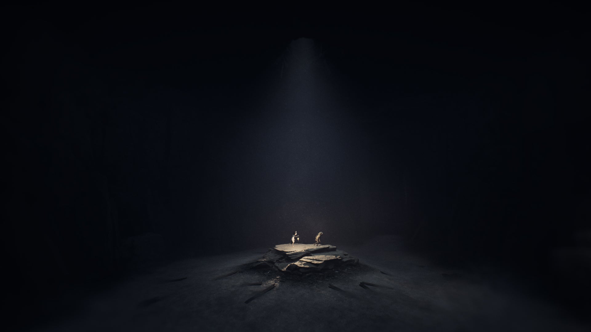 REANIMAL Standard Edition