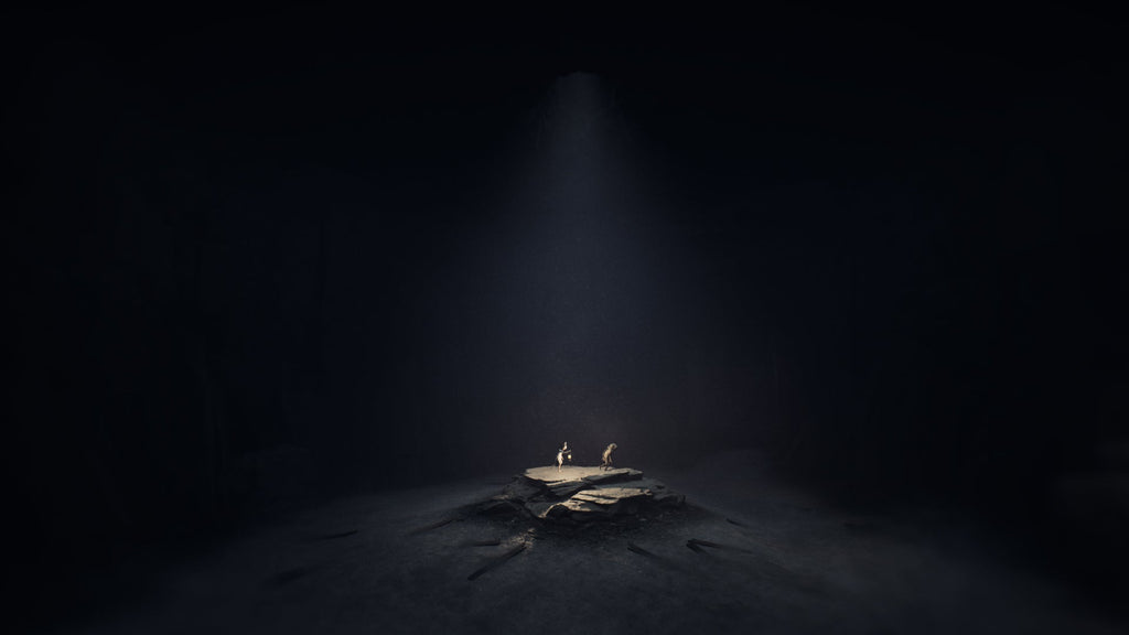 Reanimal Collector's Edition